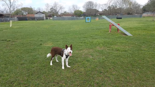 Officer Cash Memorial Dog Park photo 2
